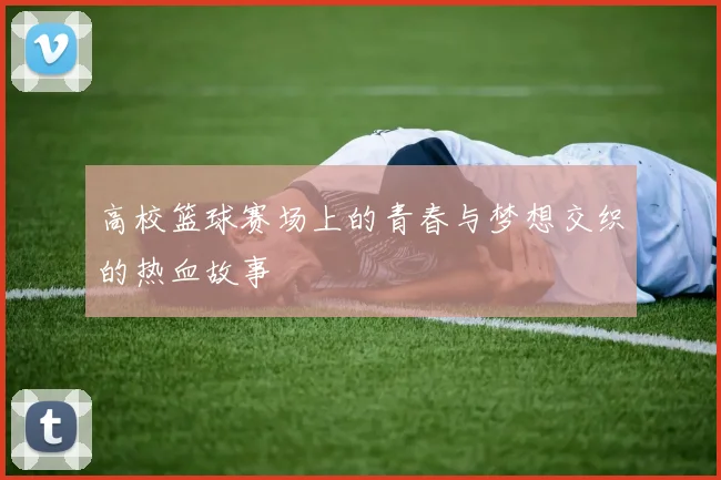 高校篮球赛场上的青春与梦想交织的热血故事