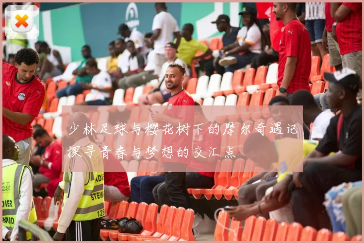 少林足球与樱花树下的摩尔奇遇记探寻青春与梦想的交汇点