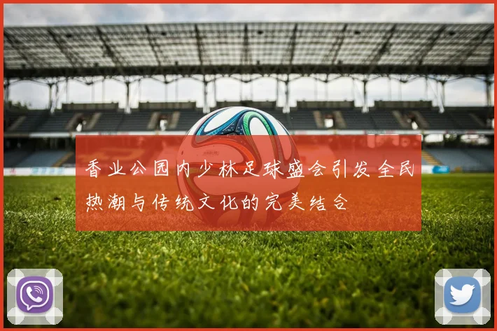 香业公园内少林足球盛会引发全民热潮与传统文化的完美结合